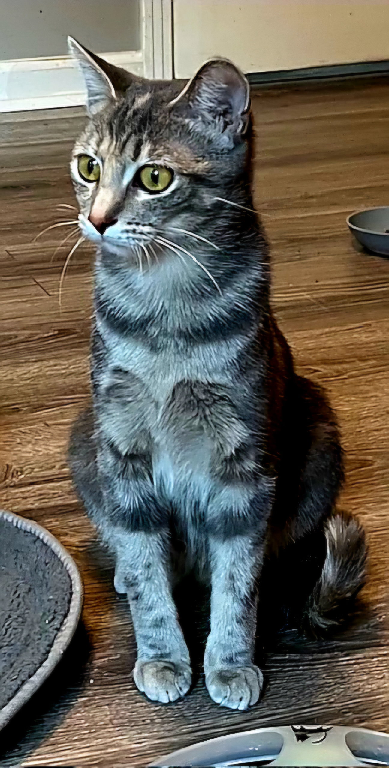MOMMA MEREDITH GREY Image