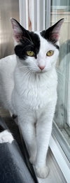 MAMA GABBY - Photo 3
