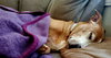 KAHLUA - Photo 4