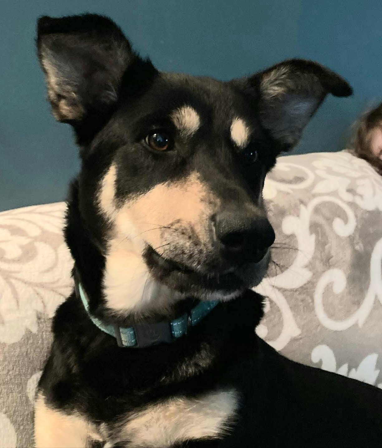 NALA Image