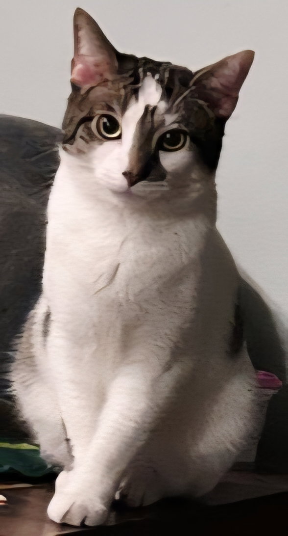 GOOSE, cat