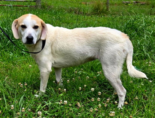BESSIE photo 2