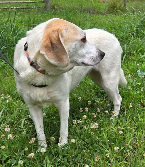 BESSIE photo 3