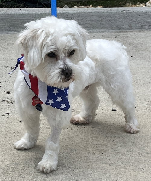 Best Man Baxter photo 2