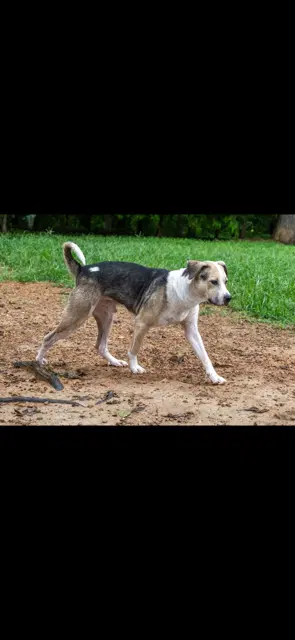 Max image 3