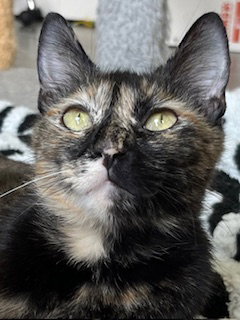 Kitty Cass photo 3