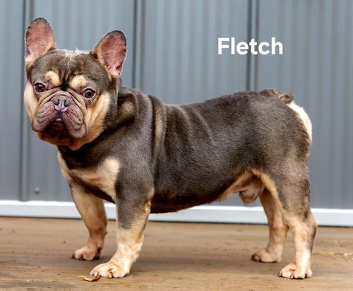 Fletch