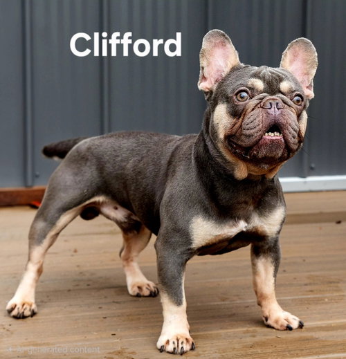 Clifford