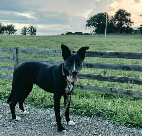 Artsy Marcy photo 3