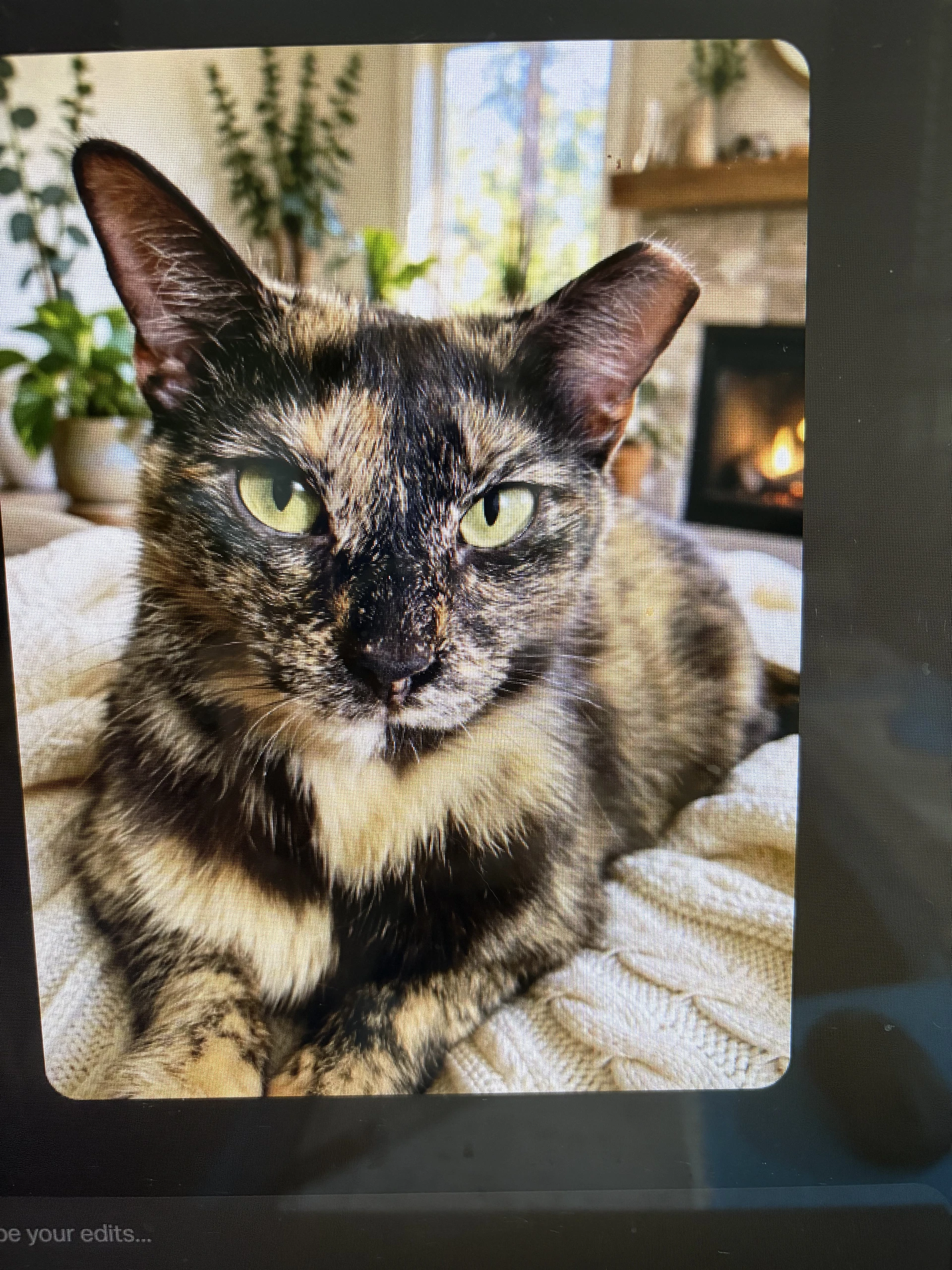 Kitty Malibu
