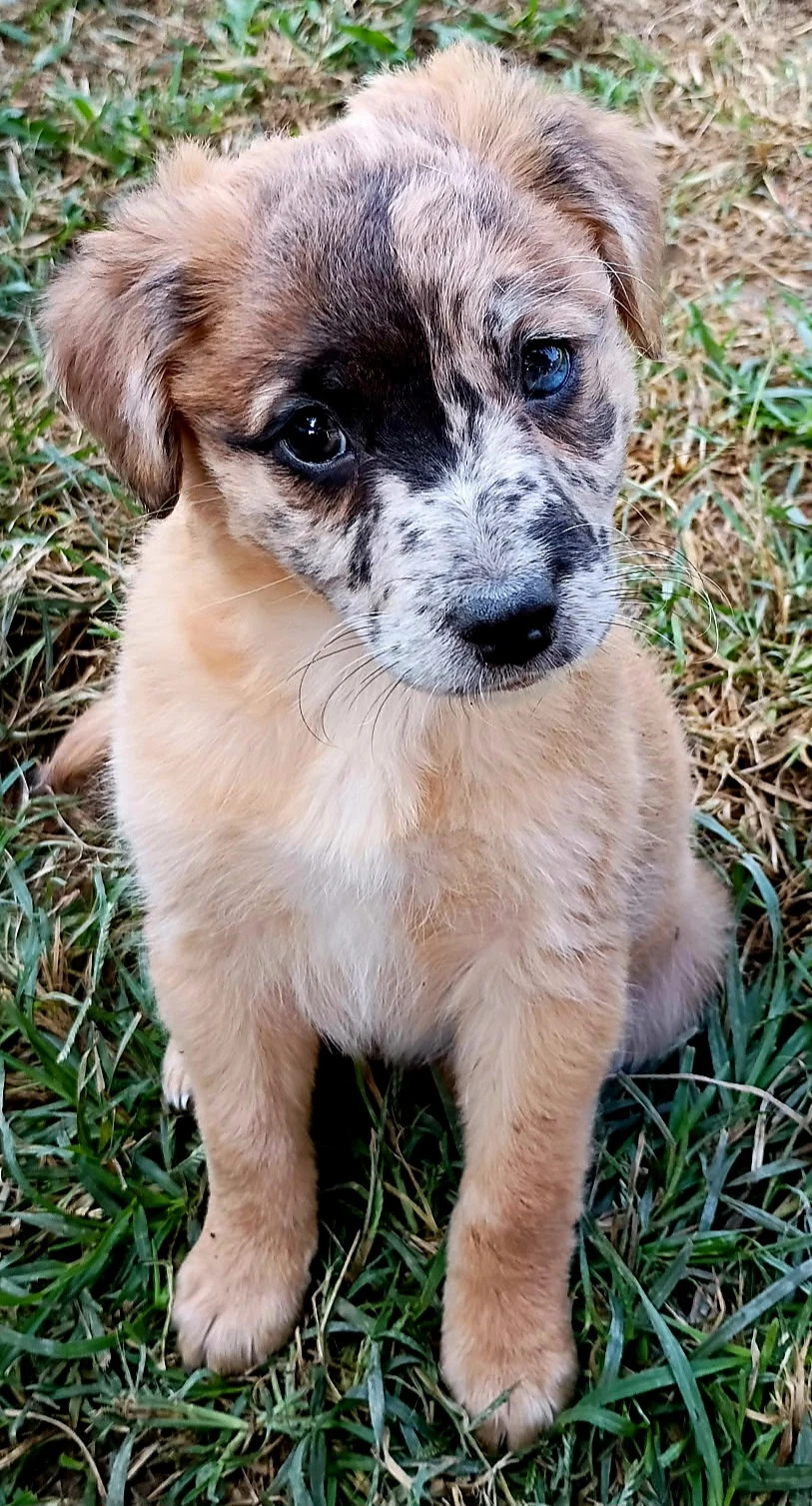 Princess Peebles