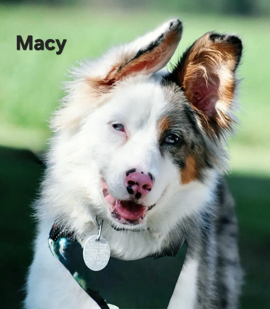 Macy image 3