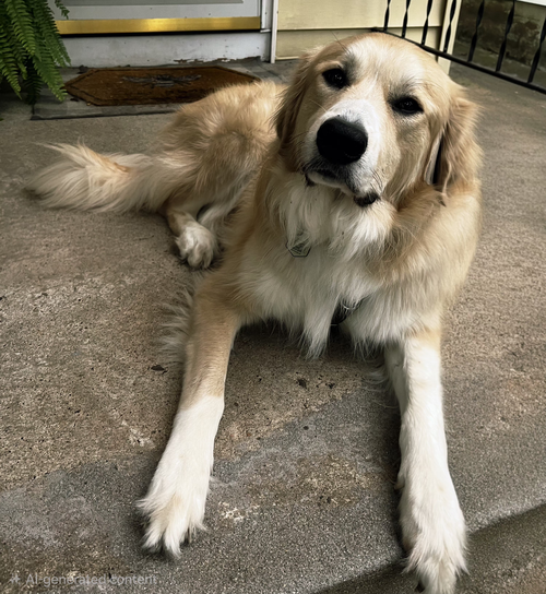 Photo 3 of ODIN
