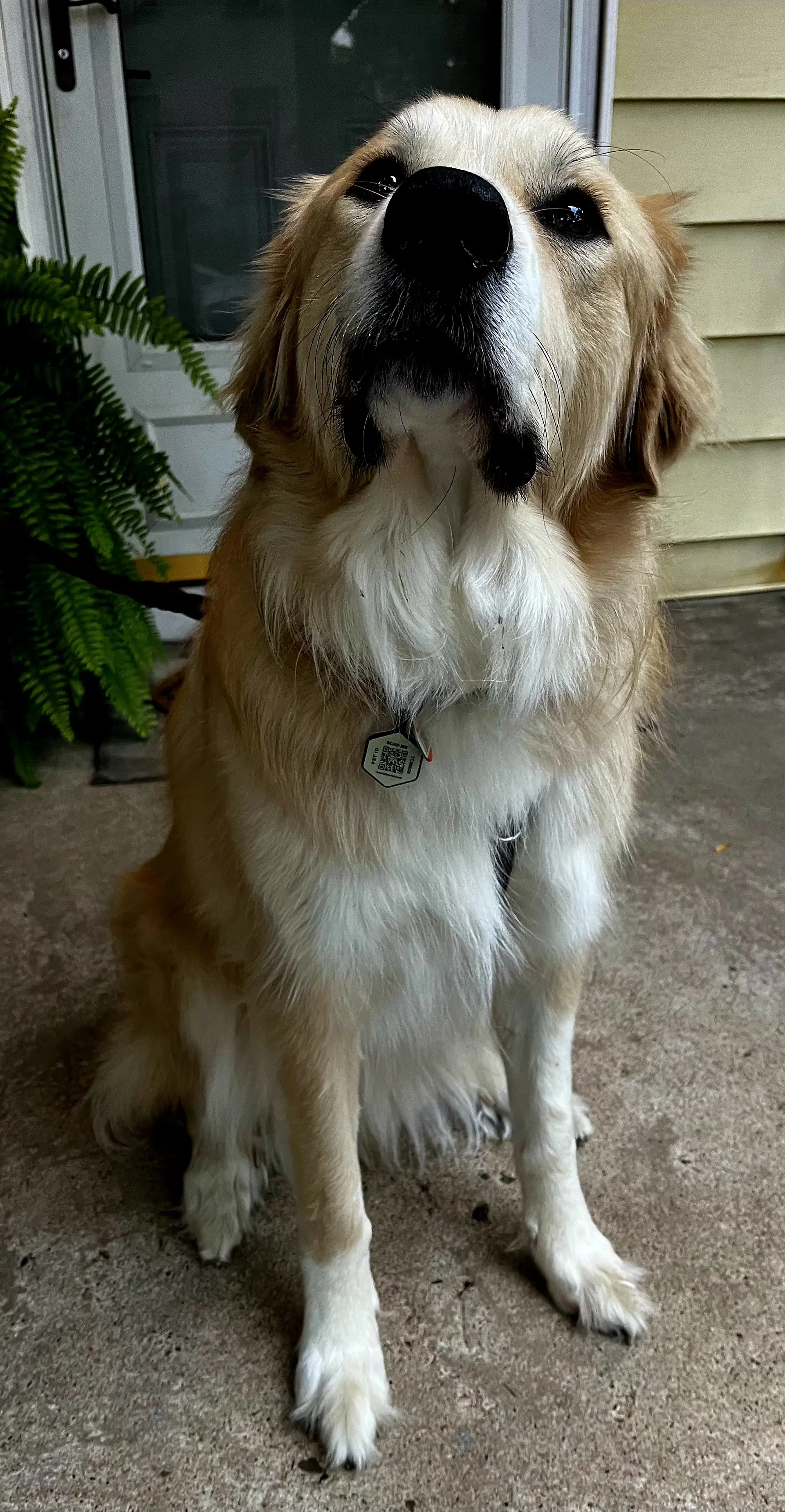 Odin image 4