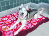 KYLO - Photo 1