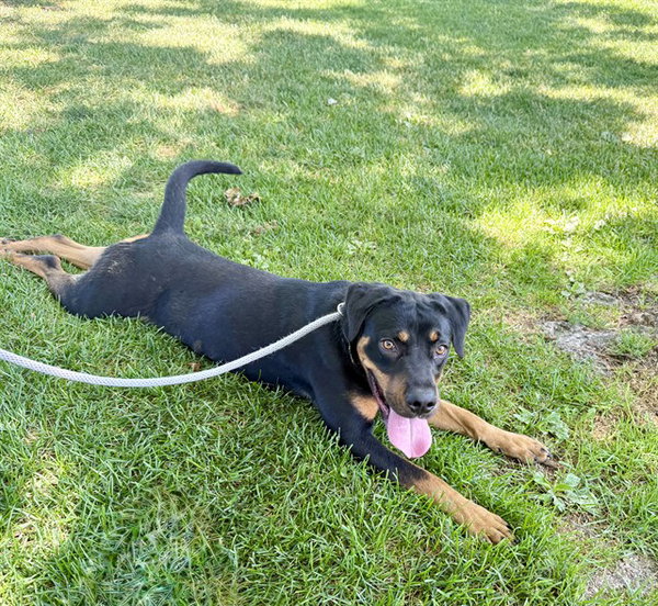 XENA