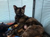 MOMMA - Photo 1