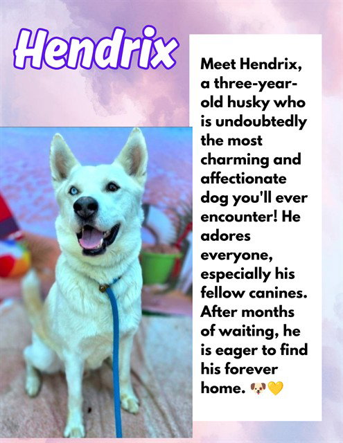 HENDRIX