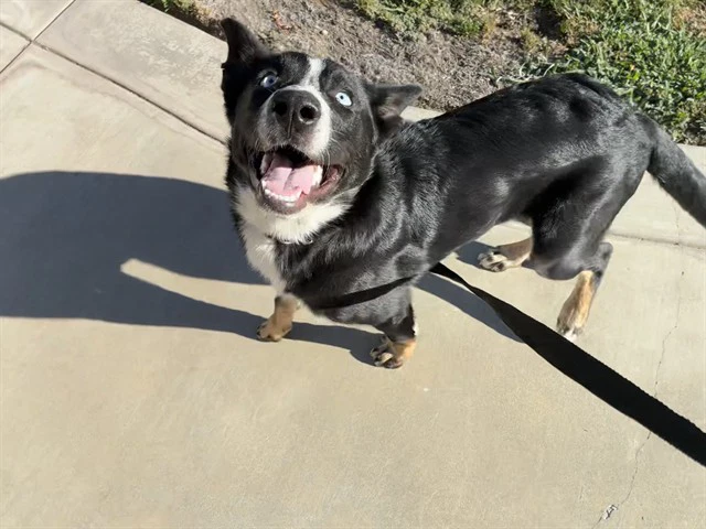 Marbles
