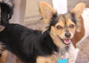 Ein