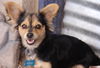 Ein