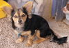 Ein