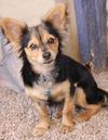 Ein