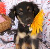Finley