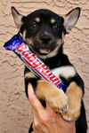 Baby Ruth