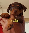 Ruth