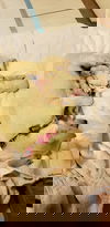 Smear