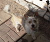 Lola