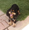 Ruby