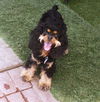Ruby