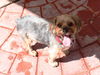 Rudy