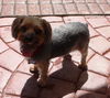 Rudy