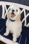 Rupert