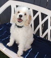 Rupert