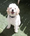Rupert