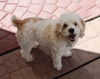Rupert