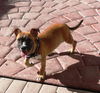 Ruben