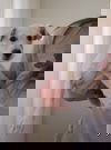Cubone