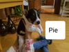 Pie