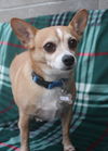 Carlos