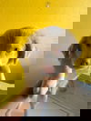 Beartic