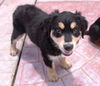 Bernard