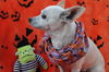 Edie