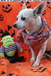 Edie