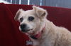 Sadie May