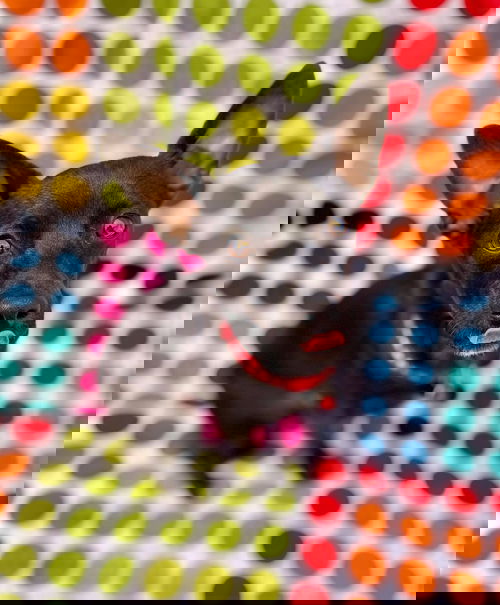 Aero
